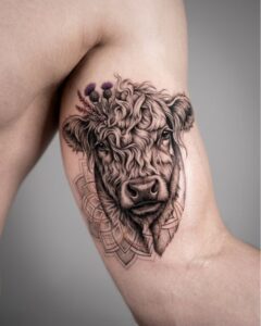 Highland Cow with Thistles and Mandala Arm Tattoo Design Inkbulb
